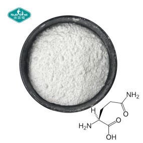 L-Glutamine Powder Supplier - Health Supplement CAS 56-85-9