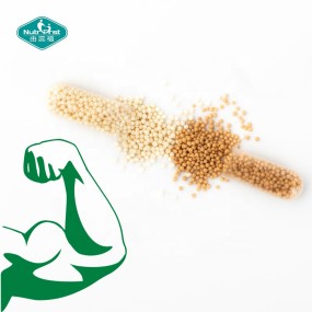 BCAA Capsules Factory - Timed Release Micro Pellets Granular