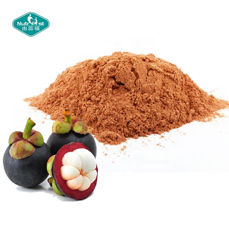Mangosteen Powder Supplier - Purple Fruit Freeze Dried Bulk