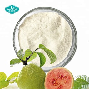 Guava Powder Factory - Freeze Dehydrated Fruit Juice 100% Purity