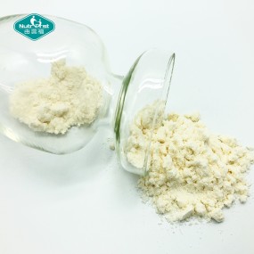 Vitamin K2 Powder Manufacturer - 100% Trans Fermented MK4 MK7