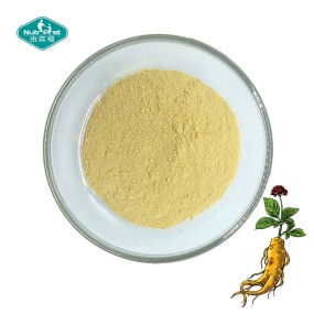 Ginseng Extract Powder Factory - Panax Root Extract Supplement
