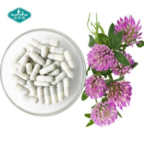 Red Clover Capsules Supplier - Menopause Support Formononetin Extract