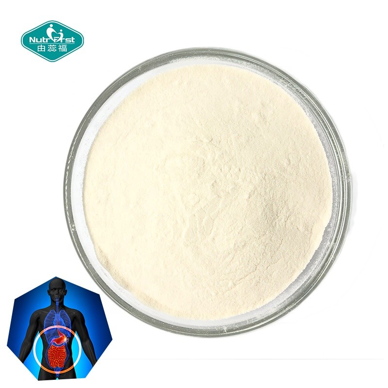Probiotic Powder Manufacturer - Professional Multi-Strains Drink Powder