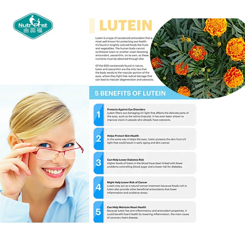 Lutein Softgel Factory - Private Label Zeaxanthin Vision Support
