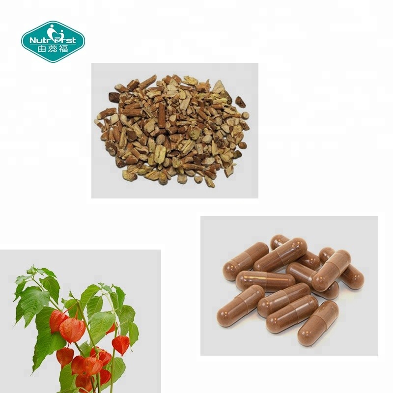 Ashwagandha Capsules Supplier - Organic Root Extract Sleep Support