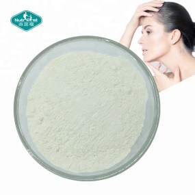 Bovine Collagen Powder Manufacturer - Halal Peptides Supplement