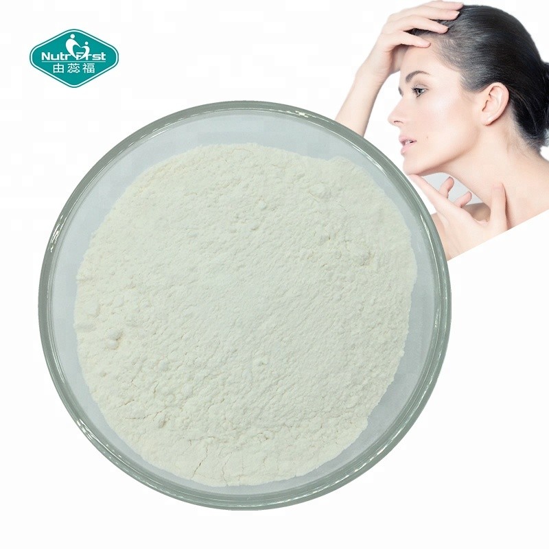 Bovine Collagen Powder Manufacturer - Halal Peptides Supplement