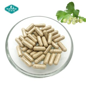 Ginkgo Biloba Capsules Manufacturer - Leaf Extract Flavones Glycosides