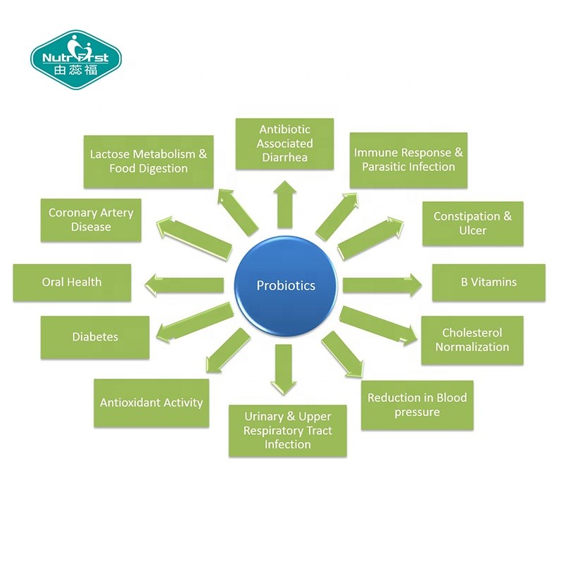 Probiotics Tablets Supplier - 60 Billion CFU Chewable Digestion