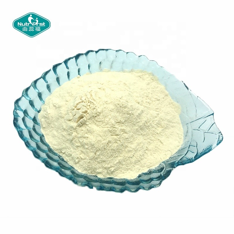 Monk Fruit Powder Factory - Luo Han Guo Concentrated Sweetener