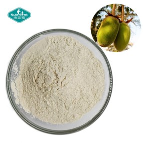Baobab Powder Factory - Organic Freeze Dried Fruit Powder