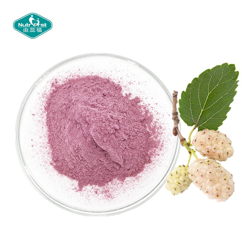 Mulberry Powder Manufacturer - 100% Juice Concentrate Freeze Dried