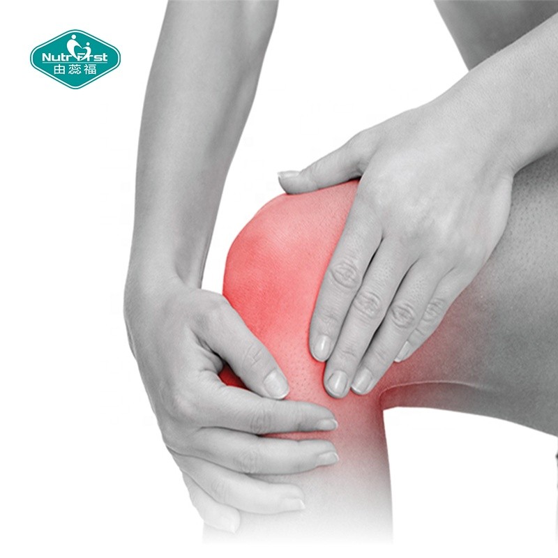 Chondroitin Sulfate Powder Manufacturer - Joint Support Bovine Porcine