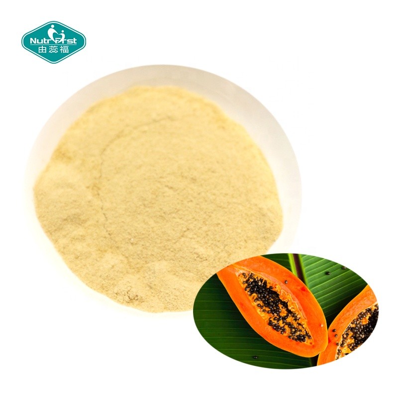 Papain Powder Supplier - 100% Herbal Enzyme Papaya Extract