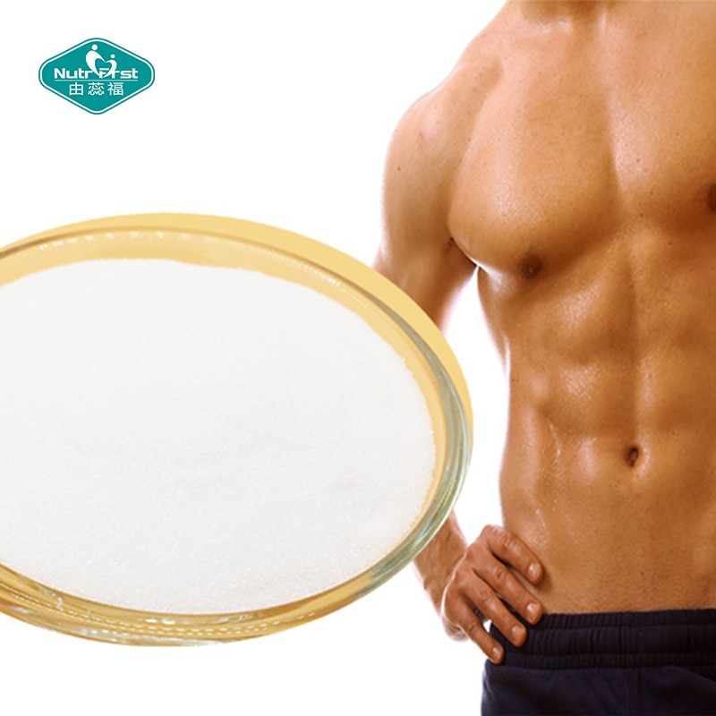 BCAA Powder Supplier - Branched Chain Amino Sport Nutrition