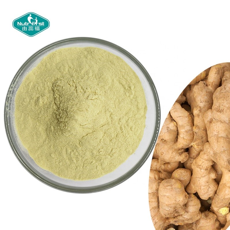 Ginger Extract Powder Factory - 10:1 Gingerol Root Oleoresin