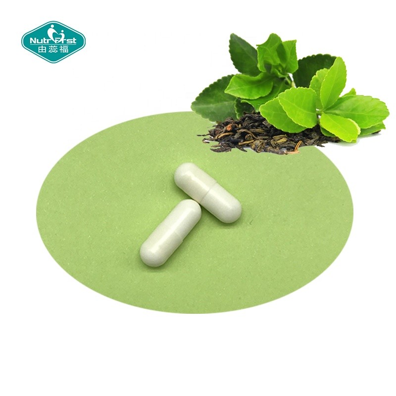 Brain Support Capsules Factory - Mushroom Vitamin B6 L Theanine Nootropic