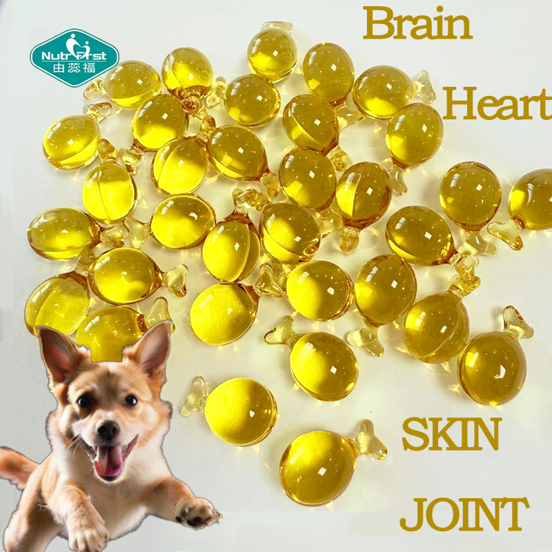 Pet Fish Oil Softgel Supplier - Ultra-Concentrated Skin Coat Joint