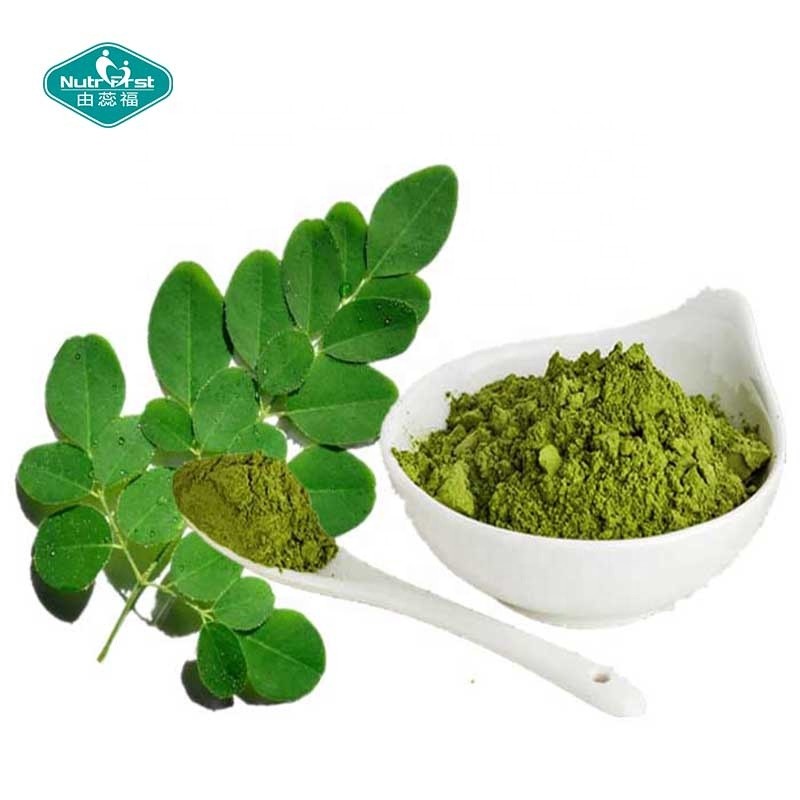 Moringa Extract Powder Manufacturer - Organic Leaf Extract Bulk