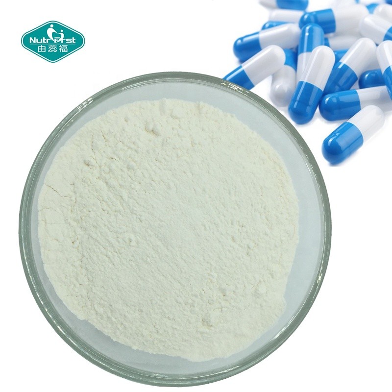 BCAA Powder Supplier - Branched Chain Amino Sport Nutrition