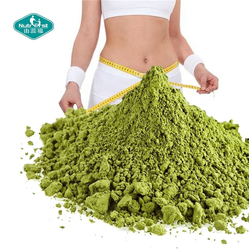 Moringa Extract Powder Manufacturer - Organic Leaf Extract Bulk