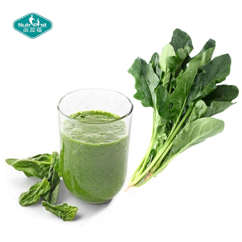 Spinach Powder Supplier - Freeze Dried Herbal Extract Water Soluble