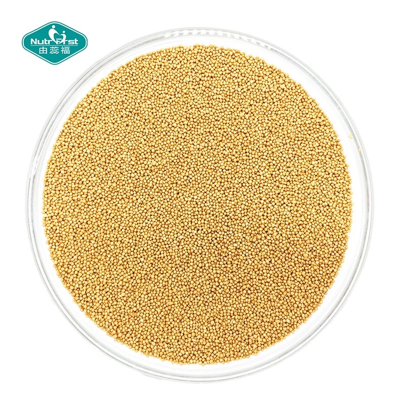 Vitamin Capsules Supplier - Slow Release Zinc Biotin Complex