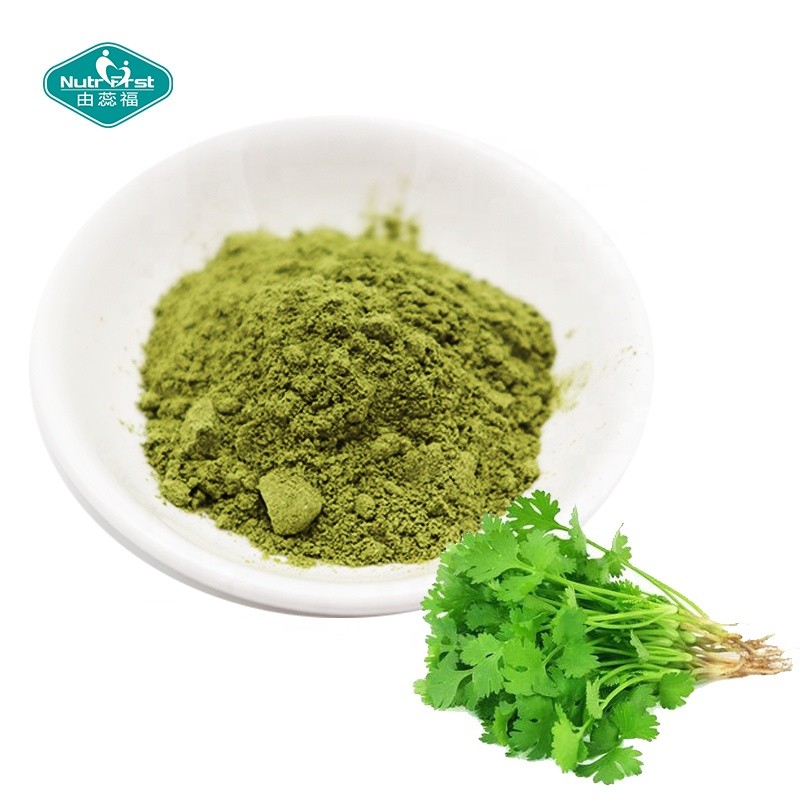 Coriander Powder Manufacturer - 100% Pure Freeze Dried Food Additive