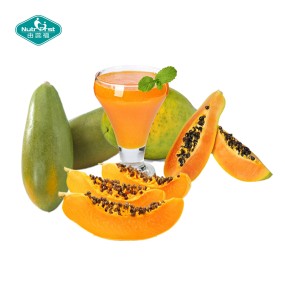 Papaya Powder Manufacturer - Frozen Dried Great Flavor Instant