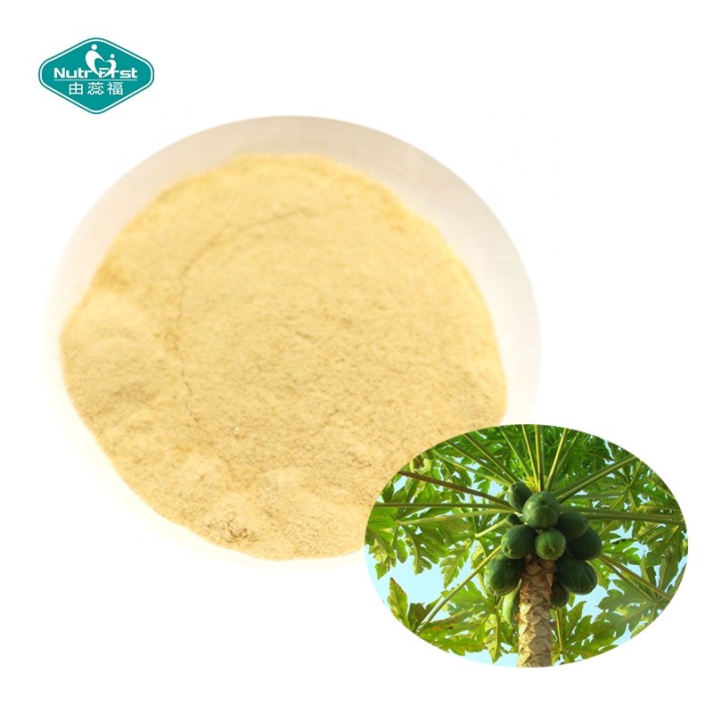 Papain Powder Supplier - 100% Herbal Enzyme Papaya Extract