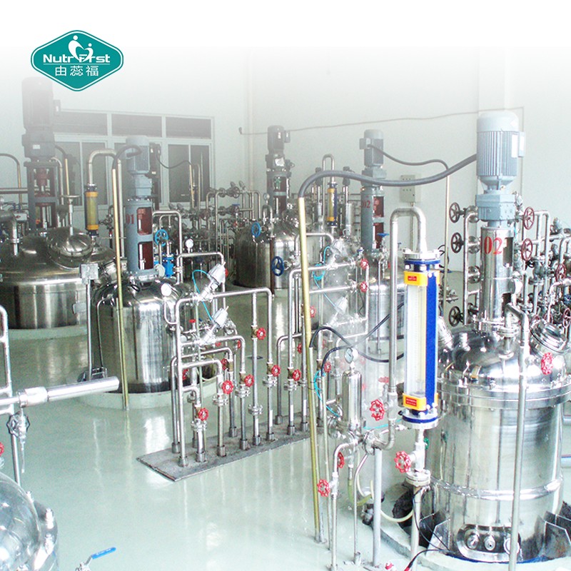 Coriander Powder Manufacturer - 100% Pure Freeze Dried Food Additive