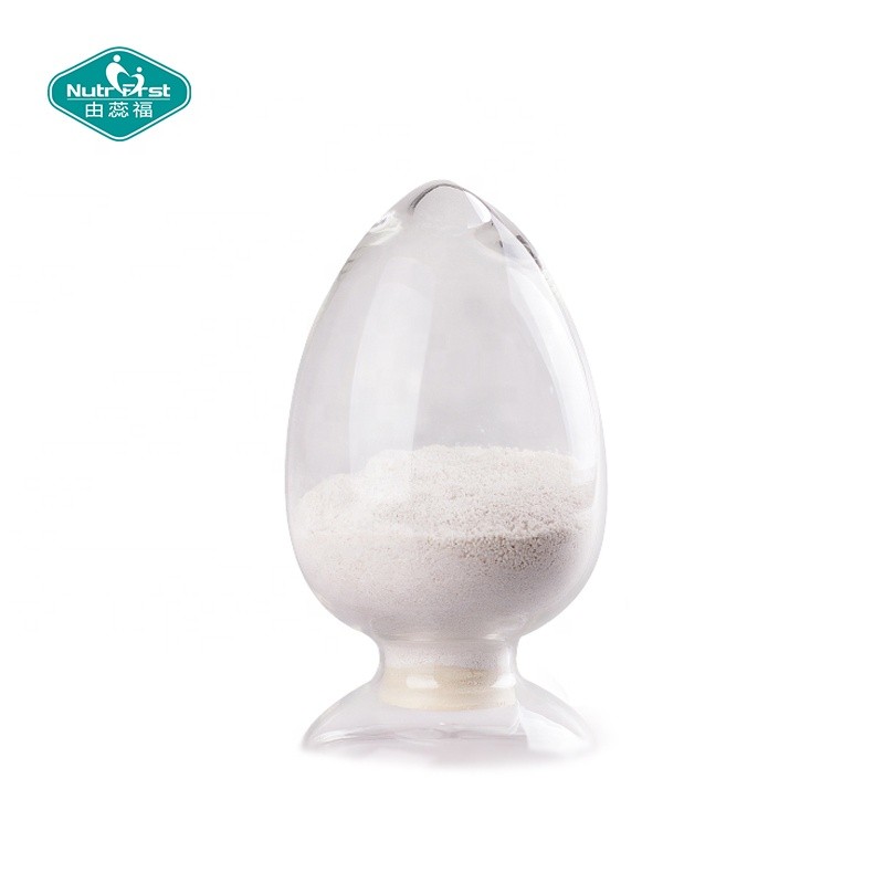 Probiotic Powder Supplier - Custom Cranberry Flavor Premix Digestion