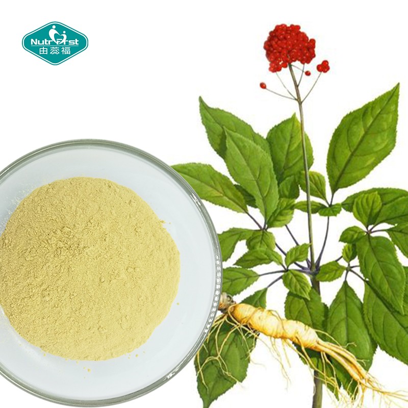 Ginseng Extract Powder Factory - Panax Root Extract Supplement