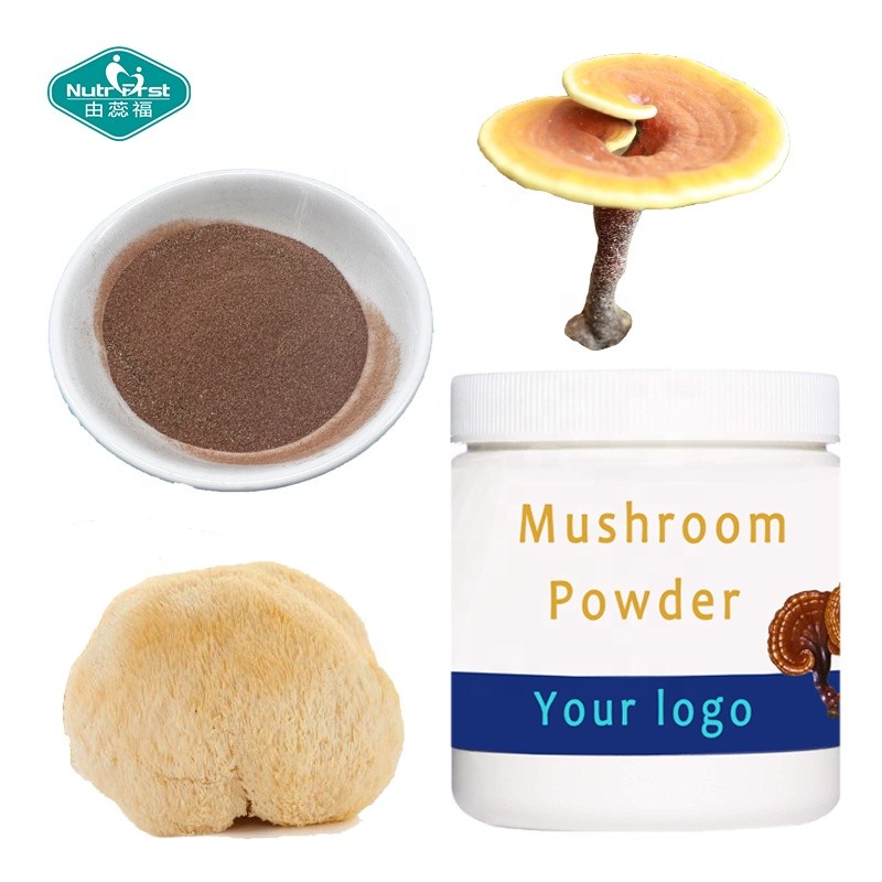 Lions Mane Powder Supplier - Nootropic Brain Memory Support