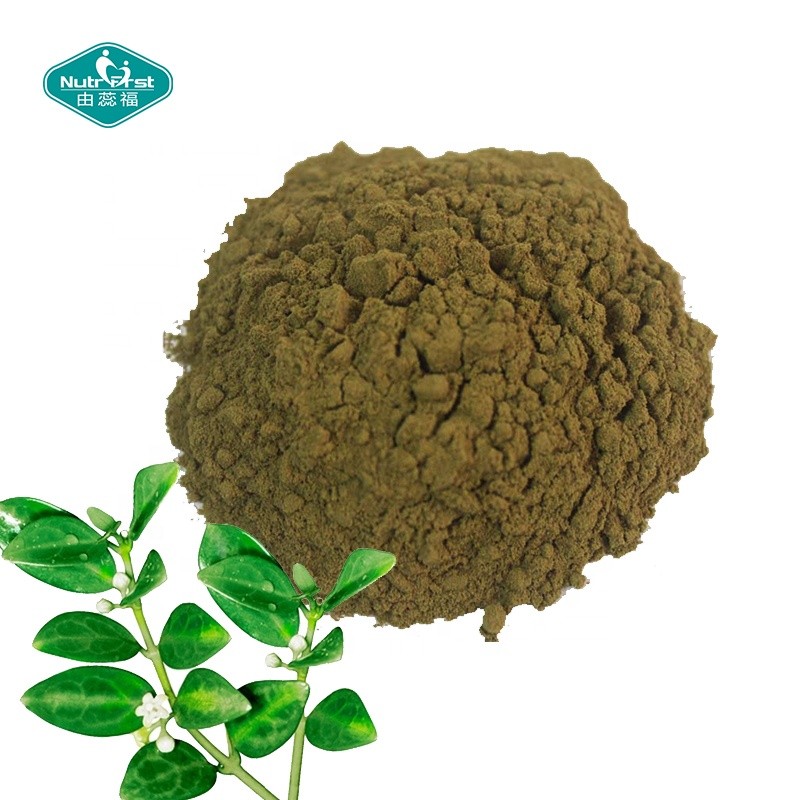 Gymnema Powder Factory - 25% 50% 75% Gymnemic Acids Leaf