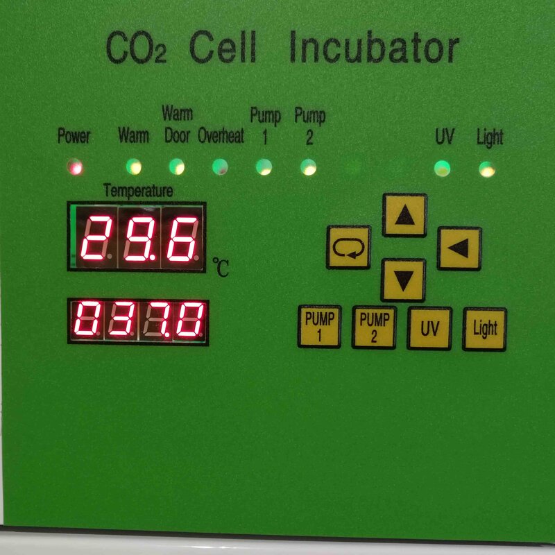 Water Jacket CO2 Incubator Factory - DW-WJ-2 80L Laboratory Cell Culture