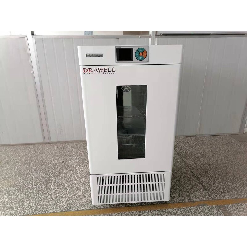 Vertical Bacteriological Incubator Factory - 80Liter Small Digital BOD Incubator