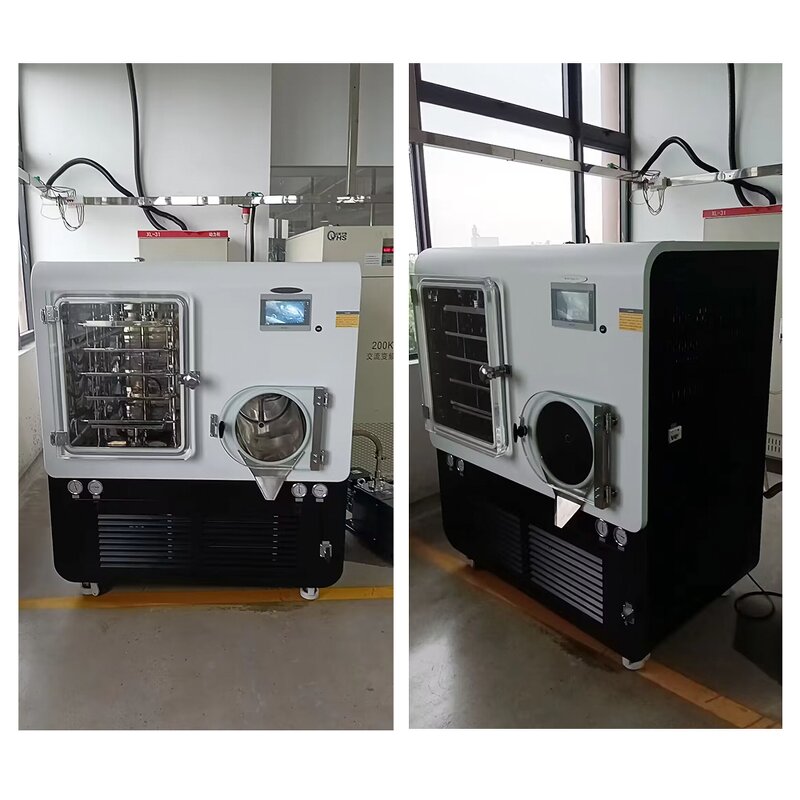 Freeze Dryer Machine Factory - Lab Food Freeze Drying Lyophilizer Price