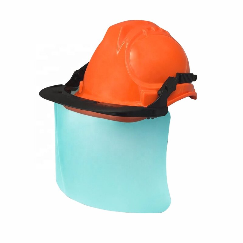 Chainsaw Helmet Set Supplier - FS3002B Forest Loggers CE Safety Gear