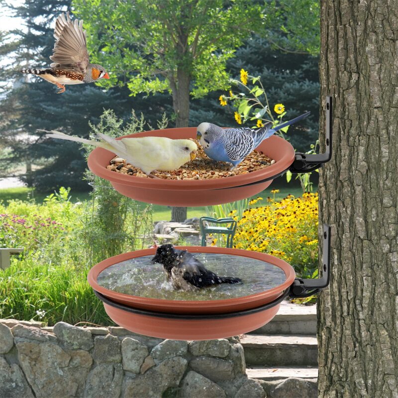 Bird Bath Bowl Factory - Bird Trays Tree Mounted Installed on Wooden Fence Wall