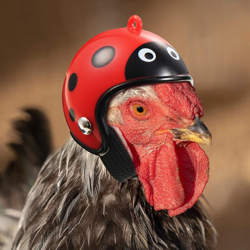 Chicken Helmet Manufacturer - Safety Helmet Funny Bird Hat Headwear Small Pet Costume