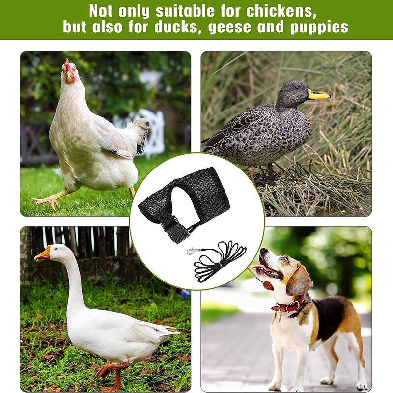 Hen Vest Harness Supplier - Comfortable Breathable Mesh Duck Goose Small Pets Training