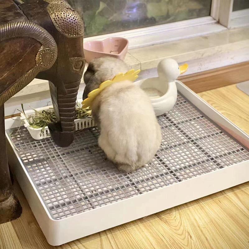Guinea Pig Litter Box Factory - Training Pan Cage Accessories Toilet Tray Rats Hamster