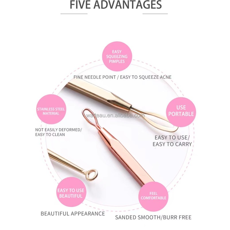 Face Care Kit Manufacturer - 5Pcs Stainless Steel Acne Extractor