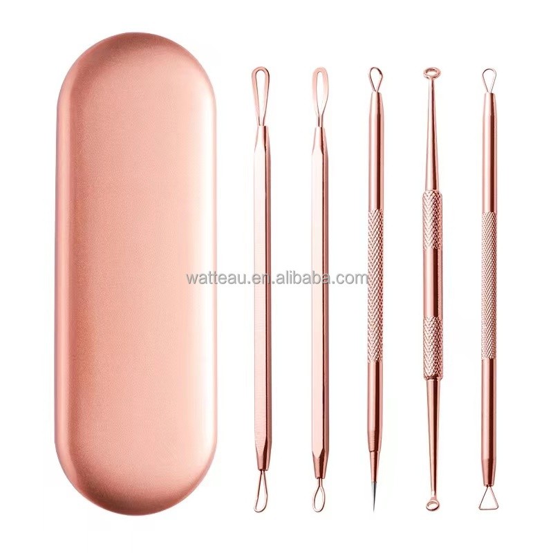 Face Care Kit Manufacturer - 5Pcs Stainless Steel Acne Extractor