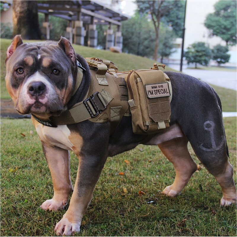 Tactical Dog Harness Factory - 1000D Nylon Molle Hunting Quick Release Vest Set