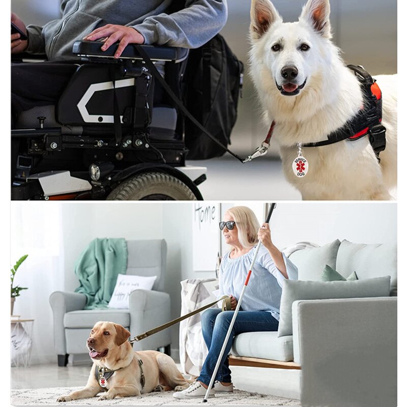 Pet ID Tag Factory - Custom Engraved Stainless Steel Service Dog Tag