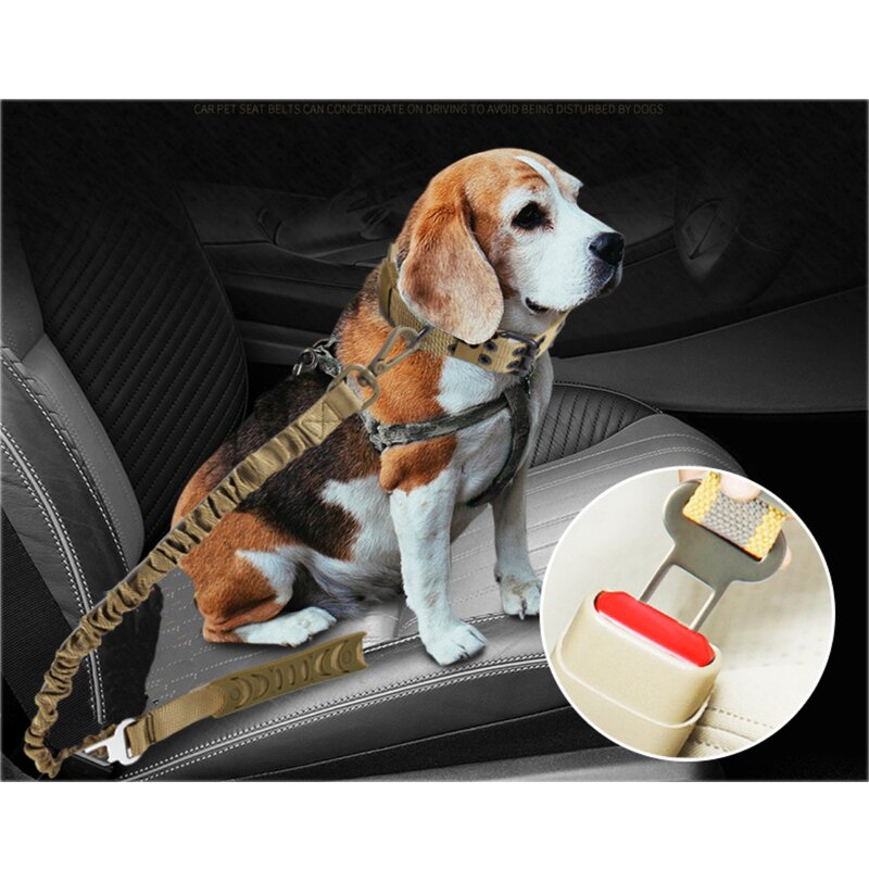 Dog Bungee Leash Supplier - Wholesale Waterproof Durable Retractable Sling Leash