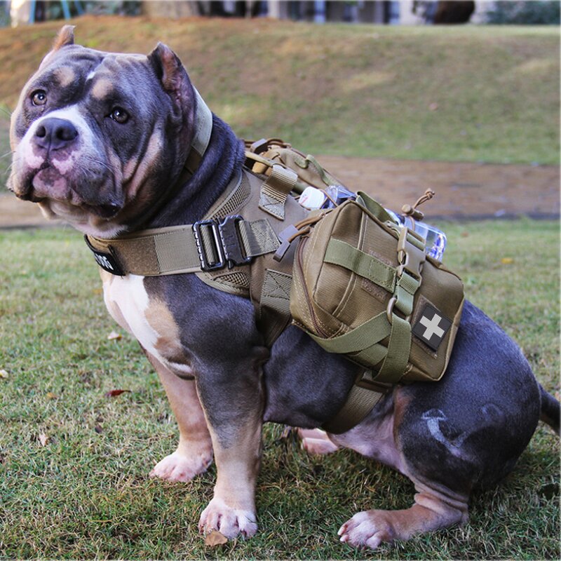 Tactical Dog Harness Factory - 1000D Nylon Molle Hunting Quick Release Vest Set